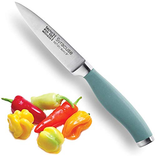 Taylors Eye Witness Syracuse Vegetable Paring Kitchen Knife - Professional 8cm/3.5” Cutting Edge, Multi Use. Ultra Fine Blade, Precision Ground Razor Sharp. Soft Textured Grip. Aqua Blue Handle.