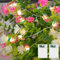 URAQT Copper Wire Mushroom Light Decoration, Garden Lights, 2 Pack 9.8ft 30 LED Battery Powered Outdoor String Fairy Lights for Women, Kids, Girls, Bedroom, Plants, Patio Party, Wedding Christmas