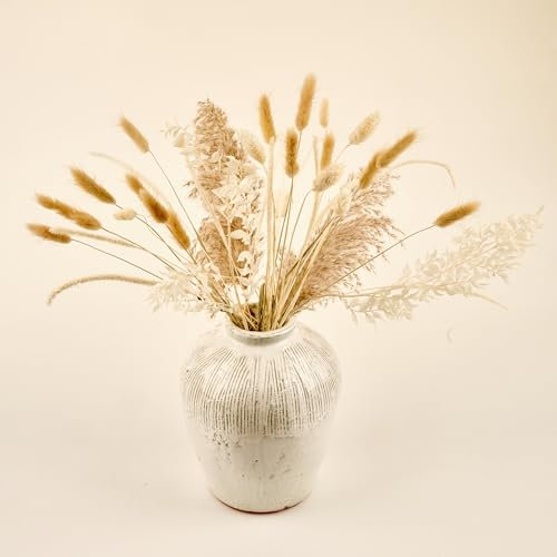 Meine Orangerie - Pampasgrasset - 34 Stiele - Pampasgras getrocknet - Stilvolle und natürliche Trockenblumen Deko - Tisch Deko - Deko Wohnzimmer (Rustic Nature)