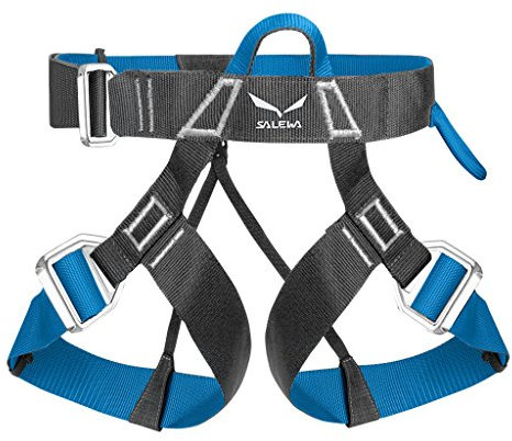 Salewa Via Ferrata Evo Hüftklettergurt