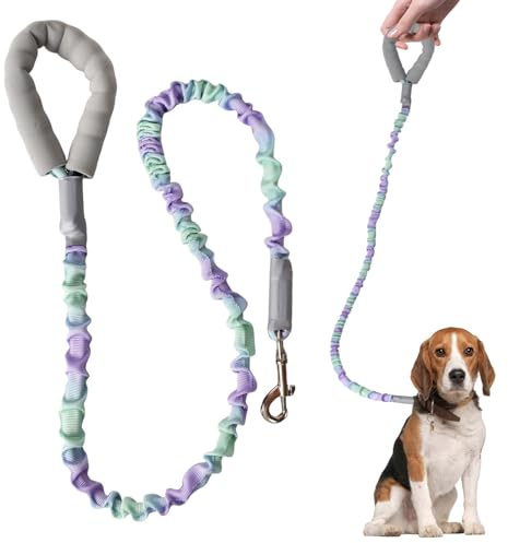 Hundeleine Elastisch 120 cm,Ruckdämpfer für Hunde Leine,Nylon-Klassik-Hundeleine,Hundeleine Ruckdämpfer Weicher Gepolsterter Griff,Für Kleine, Mittelgroße und Große Hunde Spazierengehen, Joggen,Grün