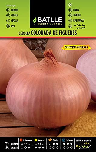 Batlle – Semi cipolla