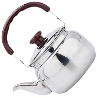 Didiseaon Bouilloire Sifflante Acier Inoxydable Résistante Avec Poignée Anti-chaleur Couleur Argent