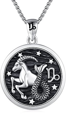 Redsun Signo del zodiaco plata signo del zodiaco Capricornio cadena astrología horóscopo colgante para hombres mujeres