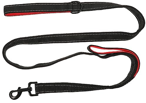 DINHEAROM Guinzaglio Per Cani Con Doppia Maniglia Tracolla Leggera e Resistente Per Passeggiate Comode Con Cani Di Piccola e Media Taglia