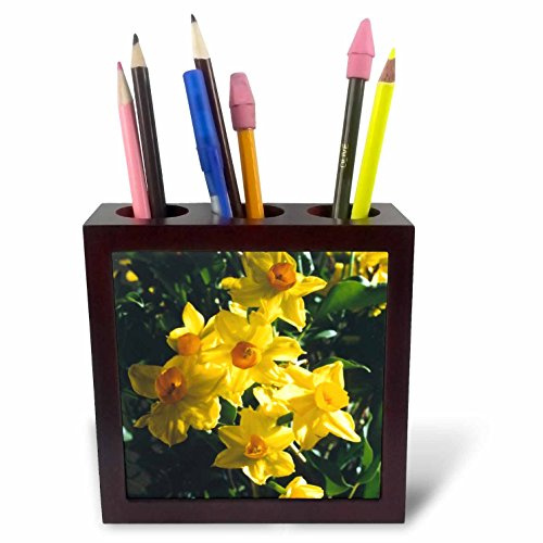 3drose Daffodils Pen Holder Image Tile, 5-Inch