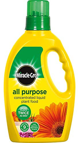 3 X Miracle-Gro All Purpose Concentrated Liquid Plant Food Bottle, 1 L