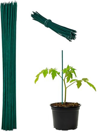 Relaxdays Canne di bambù 30 cm, Set 50 Bastoni 5 mm Ø, Paletto Sostegno per Piante Rampicanti o Decorazione, Verdi