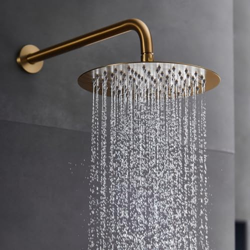 IMEX - Rociador Ducha Efecto Lluvia Ø20cm Oro Cepillado | Rociador Redondo Extraplano y Antical para Columna de Ducha | Fabricado de Acero Inoxidable S.304 | Recambio Original IMEX