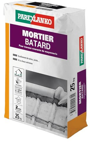 Parexlanko 02819 Mortier Bâtard, Gris