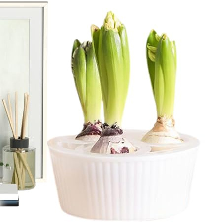 Yhsioaklo Fioriera in giacinto | Vasi per piante a 3 fori | Vaso da giardino con bulbi di narcisi | Fioriera per giardinieri Appartamento Principianti Interno Davanzale Cucina Soggiorno Camera da let