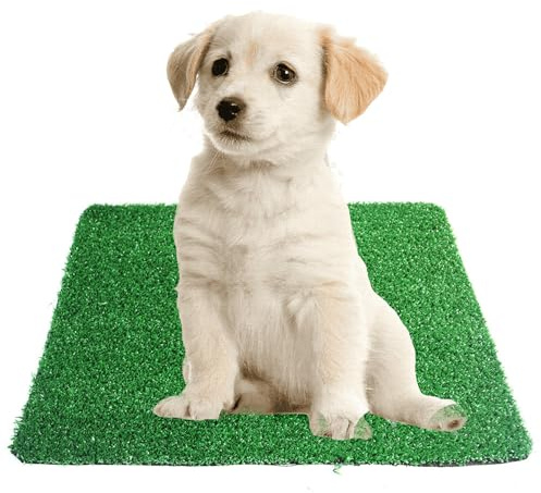 Helweet Césped Artificial para Perros, Alfombra de Césped para Perros, Césped para Entrenamiento de Cachorros, Adecuado para Mascotas Pequeñas y Medianas, 51.5cm x 40cm