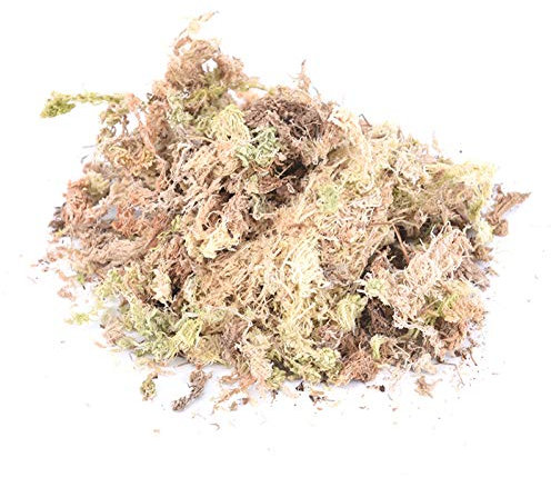 Moss Eau, 12l Moss Dry sphaigne Garden Hydratante Nutrition engrais organique pour orchidée Phalaenopsis Musgo sphaigne