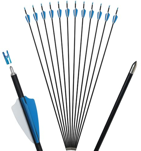 Clianle Ensemble de tir à l'arc avec flèches de Chasse en Carbone de 31 Pouces, Pointe effilée pour Arc à poulies et Arc Classique, pour Adultes et débutants, Sports de Plein air (12 pièces)