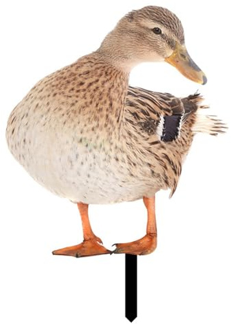 FACAIIO Décoration de jardin en acrylique en forme de canard - Statue de pelouse pour décoration de jardin, pelouse - 1 pièce