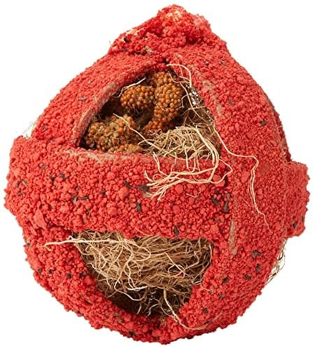 Quiko Fitness Foodball Rojo 100g - Snack and play fun for birds