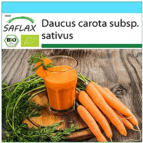 SAFLAX - - BIO - Carota - Early Nantes - 1500 semi - Daucus carota subsp. sativus
