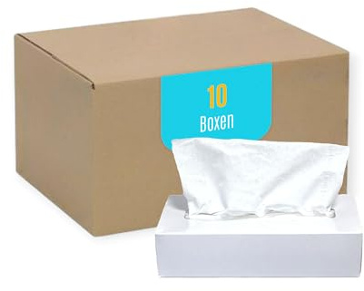 DE Healthcare Products – Kosmetiktücher (1.000 Stück), 2-lagige Taschentücher in weißer Box, weiche Papiertaschentücher, 10 Boxen x 100 Tücher