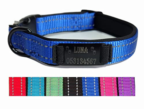 Hundehalsband Halsband Name Gravur personalisiert Haustier Hund Katze Nylon besonders stabil (L, Dunkel Blau)