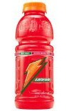Gatorade Fruit Punch 20 oz. (591 mL) - 12 Pack