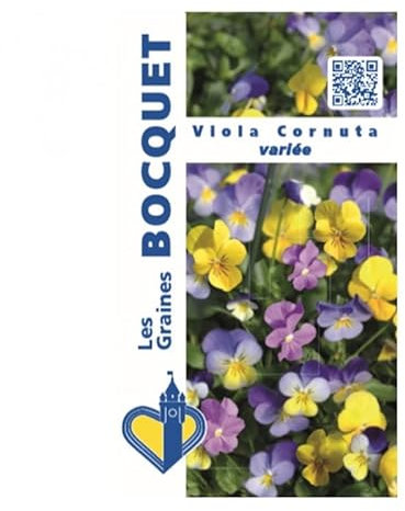 Sachet de graines de Viola Cornuta variée - 0,5 g - LES GRAINES BOCQUET