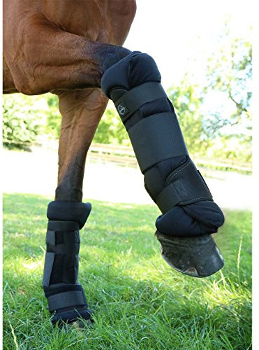 Chevallo Einführungspreis Stallgamaschen Größe S, 2 Stück