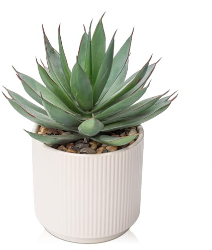Hollyone Fake Succulents in White Ceramic Pot, 8.6'' Frosted Artificial Agave Shaka Zulu, Faux Plants Indoor Decorative Greenery for Home Decor, Office Desk, Windowsill, Bathroom, Shelf Decorations