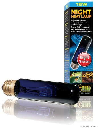Exo Terra Night Heat Lamp, 15 W