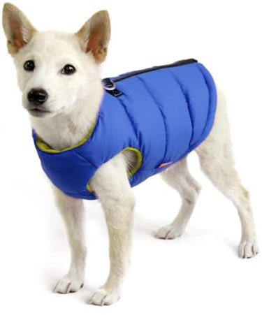 Gooby Padded Vest Dog Jacket - Solid Blue, Medium - Warm Zip Up Vest Fleece Jacket with Dual D Ring Leash Water Resistant for Small to Medium Dogs