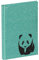 Pagna 26051-17 Notizbuch A6 Panda 128S dotted lines