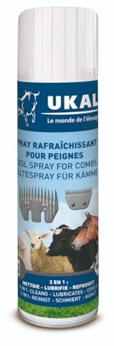 Horizont 38100143 Spray rafraîchissant pour Peigne 500 ml - Lot de 12