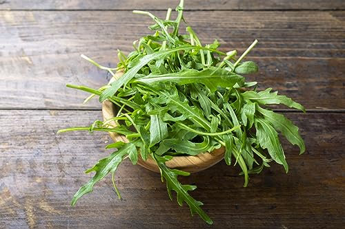 1000 Samen Wilde Rauke Rucola selvatica Rukola Salat Vegan Rohkost Winterhart