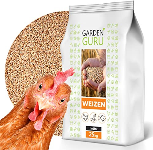 GardenGuru Weizen Futter 25kg Huhnerfutter Nagerfutter, Kaninchenfutter Weizenkörner Getreide Korn Essen Wildvögel Kaninchenfutter