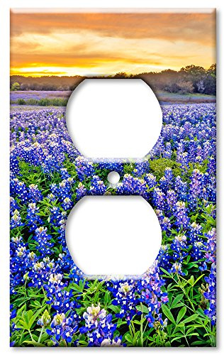 Art Plates Brand Electrical Outlet Wall/Switch Plate - Blue Bonnets