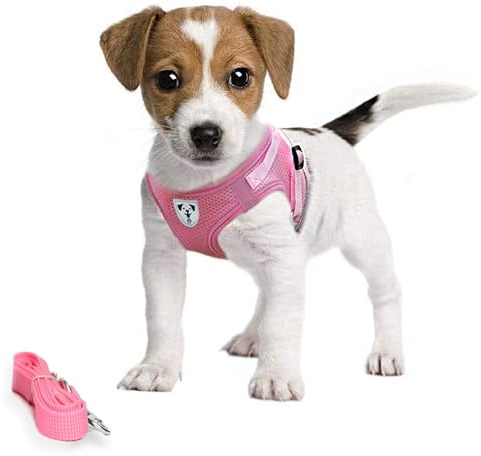 Pet's Playground Liten hundsele | hundsele liten hund | valp hundsele | hundsele för valpar | hundsele för små hundar | sele för små hundar | extra liten hundsele (Rosa, Extra Små)