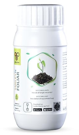 smileybee SmileyN Blattdünger und Biostimulans für Pflanzen, bestehend aus Mykorrhizen - 75g - Fördert die Eigenproduktion von Stickstoff auf natürliche Weise