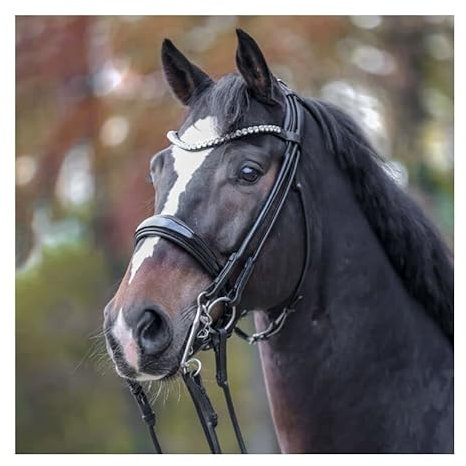 Kandare FLEUR schwed.- rundgenäht