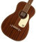 Gretsch JD Parlor MAH WPG FRSTN - Acoustic Guitar