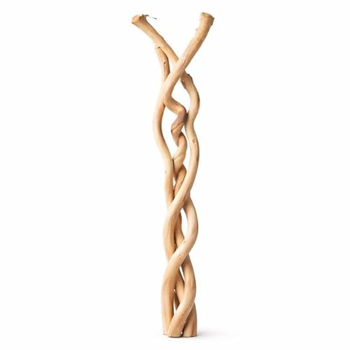FLORALCRAFT® Dried Natural Dula 90cm Log Decorative Wood Branches | Twigs, Vase Filler, Pack of 3