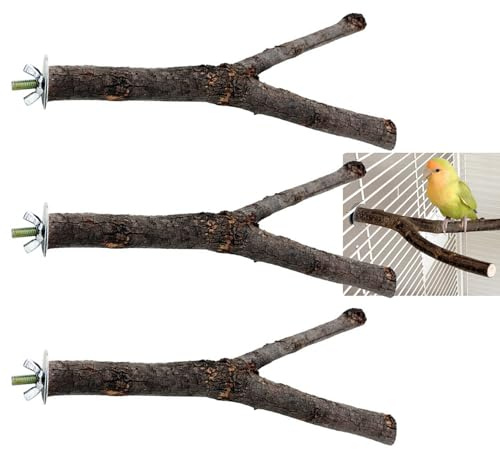 3 Pack Natural Wood Bird Perch Stand, Bird Perches Parrot Stand Natural Living Y Shape Perch, Wooden Parrot Perch Stand Perch Platform