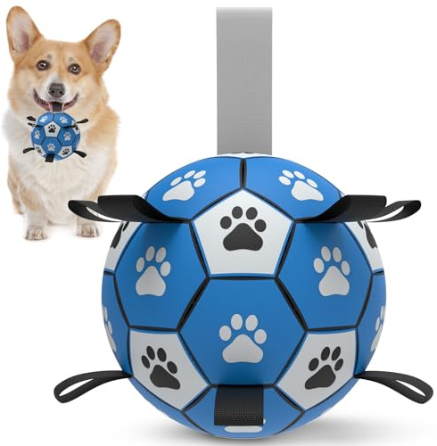 HETOO Hundboll hundleksak boll med rep hundfotboll (6 tum blå) | Interaktiv hundboll för turing, hållbar hög hopp, flytande boll för hundar, födelsedagspresenter, inomhus, utomhus