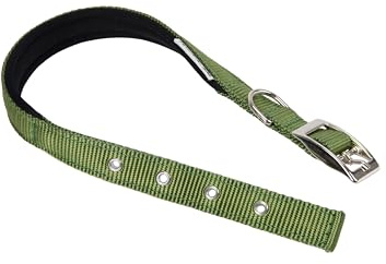Ferplast Collare Cane Taglia Piccola Collare per Cani in Nylon Imbottito Regolabile Fibbia Metallica, Misura Collo 23-31 cm, Verde scuro