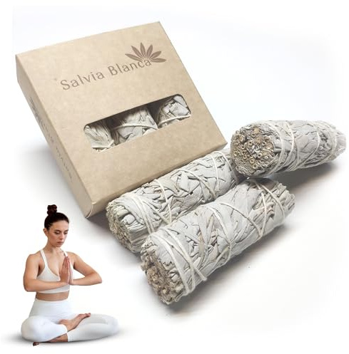3 Unita di Salvia Bianca Da Bruciare Per Purificazione E Meditazione Idee Regalo Donna Originale Utile Set Aromaterapia Relax Casa Con Incenso Naturale Non Tossico Oggetti Decorativi Spiritualita