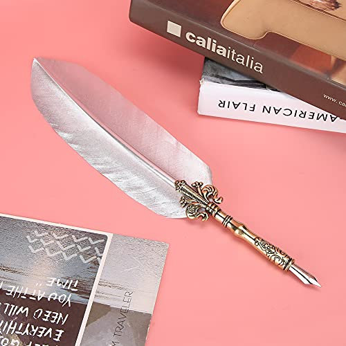 WPKD BLUEIY 1,0 mm fjäderpenna set, distinkt kalligrafi fjäderpenna kit i presentask, skrivverktyg för studenter, silver