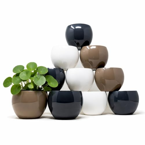 QILZO Maceteros Decorativos Interior Exterior 11 cm Pack 12 | Cubremacetas Plástico Sin Agujeros | Macetas Redondas de Plástico Duro y Resistente a Rayos UV | Diseño Moderno (12 uds Ø 11 cm)