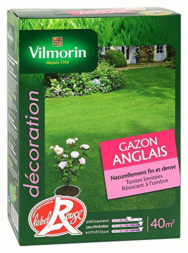 Vilmorin 4472453 Gazon Anglais Boîte de 1 kg