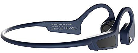 WANGLXBT Portable Bluetooth Running Headphones 5.0, Wireless Earphones with Clear Voice Capture Technology,Echo Cancellation Microphone for Sports HiFi, blue