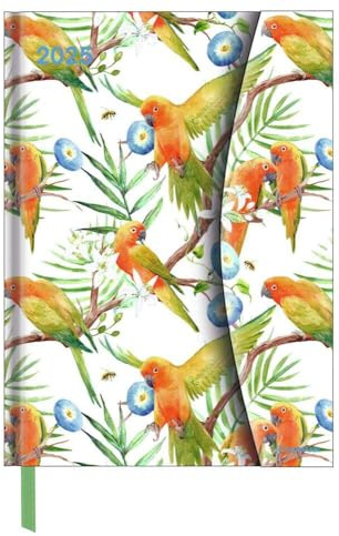 N NEUMANNVERLAGE - Jungle 2025 Diary 16 x 22 cm Pocket Calendar with Magnetic Closure and Ribbon Bookmark, Pocket for Business Card, Annual and ... International Calendar: Magneto Diary