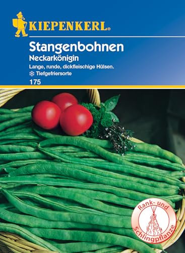 Kiepenkerl Stangenbohnensamen Neckarkönigin 175 - Lange, runde, dickfleischige Hülsen - Inhalt für 15-20 Stangen - Samen Gemüse, Gemüsesamen, Saatgut