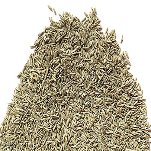 Il Contadino - Antiche Sementi | FESTUCA ARUNDINACEA | Tappeto erboso, Adatto a tutti i luoghi e tipi di terreno, Ottima resistenza alla siccità, al calpestio e all'ombreggiamento (20 Kg)